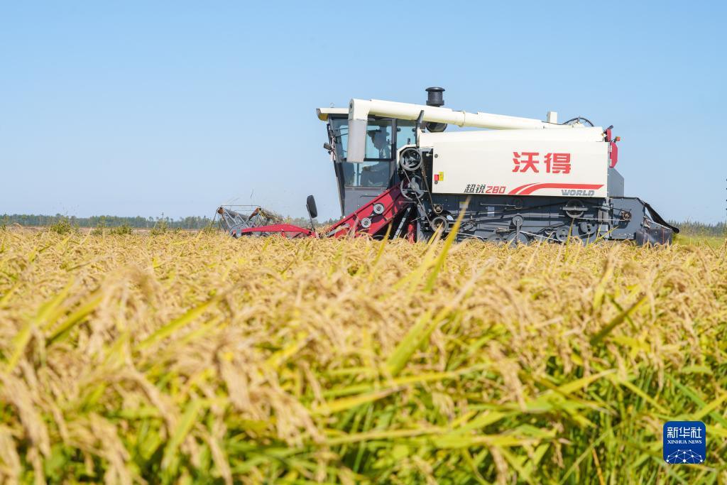 奥门娱乐堵场